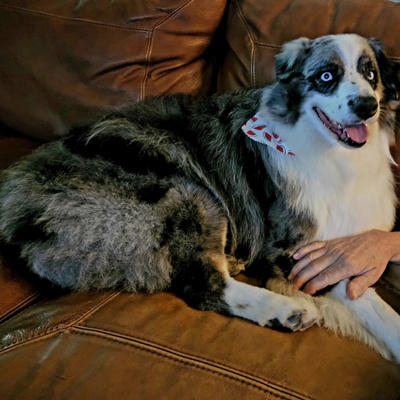 Meet your Posher, Delene - Picture 5 of 13